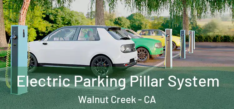 Electric Parking Pillar System Walnut Creek - CA
