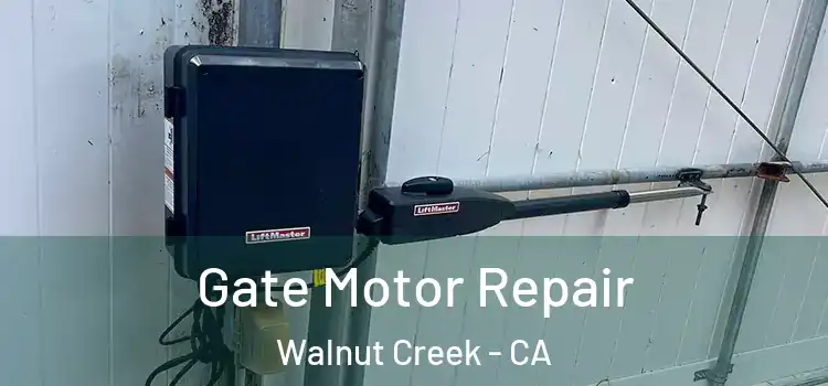 Gate Motor Repair Walnut Creek - CA