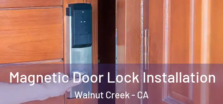  Magnetic Door Lock Installation Walnut Creek - CA